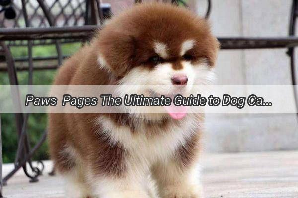 Paws  Pages The Ultimate Guide to Dog Care and the Best Books to Keep Your Furry Friend Happy